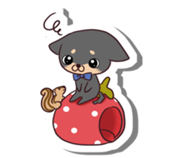 Chihuahua and funny companions sticker #14278025