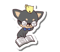 Chihuahua and funny companions sticker #14278030