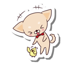 Chihuahua and funny companions sticker #14278033