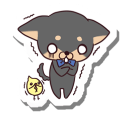 Chihuahua and funny companions sticker #14278041
