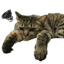 Tom&Julie Good friend sticker sticker #14278830