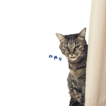 Tom&Julie Good friend sticker sticker #14278838