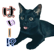 Tom&Julie Good friend sticker sticker #14278849