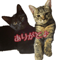 Tom&Julie Good friend sticker sticker #14278860