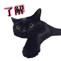 Tom&Julie Good friend sticker sticker #14278862