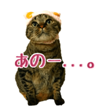 Tom&Julie Good friend sticker sticker #14278867