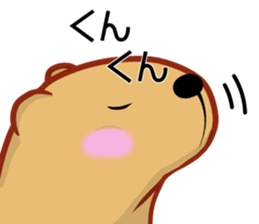 Kyapibara 11 sticker #14279918