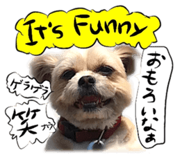 Dog Talk! Dog Photos,English & Japanese sticker #14280168
