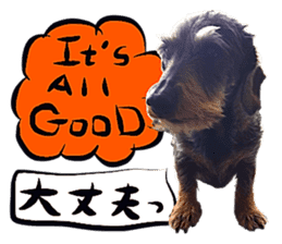 Dog Talk! Dog Photos,English & Japanese sticker #14280173