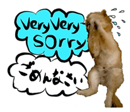 Dog Talk! Dog Photos,English & Japanese sticker #14280175
