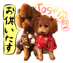 Dog Talk! Dog Photos,English & Japanese sticker #14280179