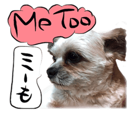 Dog Talk! Dog Photos,English & Japanese sticker #14280184