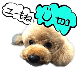 Dog Talk! Dog Photos,English & Japanese sticker #14280185