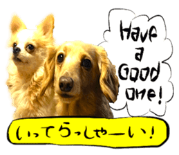 Dog Talk! Dog Photos,English & Japanese sticker #14280196