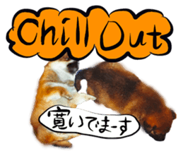 Dog Talk! Dog Photos,English & Japanese sticker #14280200