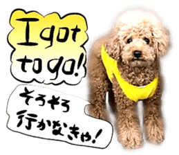 Dog Talk! Dog Photos,English & Japanese sticker #14280201