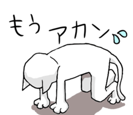 cat maro2 sticker #14281246