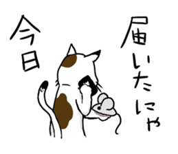 cat maro2 sticker #14281260