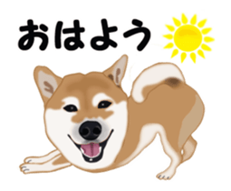 Move! Sticker of SHiba inu sticker #14282526