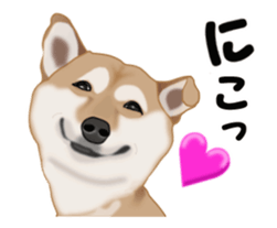 Move! Sticker of SHiba inu sticker #14282530