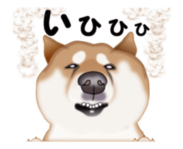 Move! Sticker of SHiba inu sticker #14282533