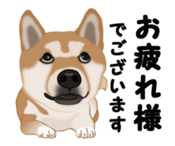 Move! Sticker of SHiba inu sticker #14282535
