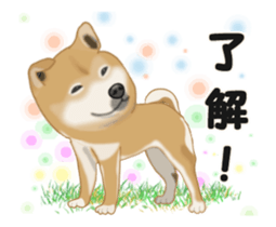 Move! Sticker of SHiba inu sticker #14282538