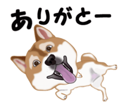 Move! Sticker of SHiba inu sticker #14282540