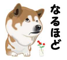 Move! Sticker of SHiba inu sticker #14282544