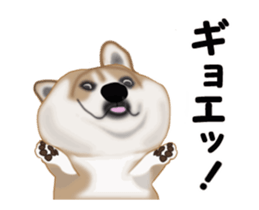 Move! Sticker of SHiba inu sticker #14282546