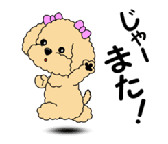 Move! Toy poodle 10 sticker #14283633
