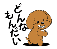 Move! Toy poodle 10 sticker #14283645
