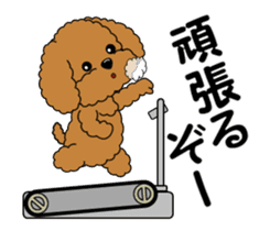 Move! Toy poodle 10 sticker #14283646