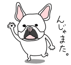 Has it a French Bulldog any problems? 2 sticker #14283781