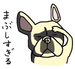 Has it a French Bulldog any problems? 2 sticker #14283801