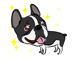 French Bulldog named Kon&Paff sticker #14285458