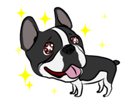 French Bulldog named Kon&Paff sticker #14285458