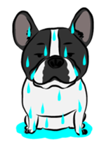 French Bulldog named Kon&Paff sticker #14285461