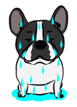 French Bulldog named Kon&Paff sticker #14285461