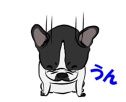 French Bulldog named Kon&Paff sticker #14285465