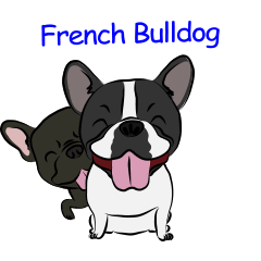 French Bulldog named Kon&Paff
