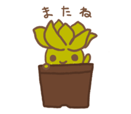 succulent sticker sticker #14286883