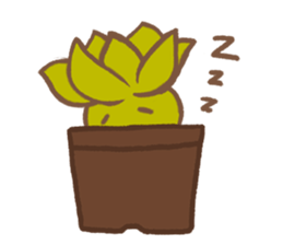 succulent sticker sticker #14286885