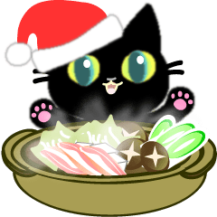 Small, obliging, black cat.3