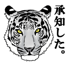 Cutie Tiger Stickers sticker #14287132