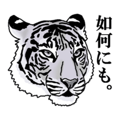 Cutie Tiger Stickers sticker #14287133
