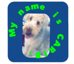 My name is Carib sticker #14287175