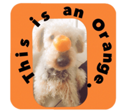 My name is Carib sticker #14287182