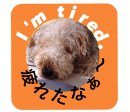 My name is Carib sticker #14287183