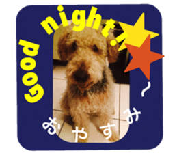 My name is Carib sticker #14287192